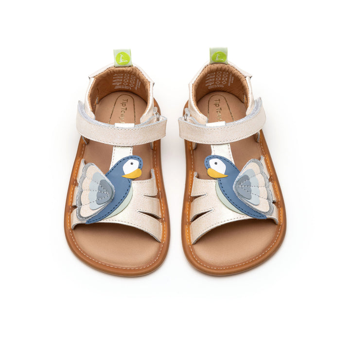 Macaw Sandals