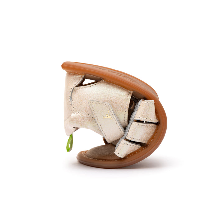 Macaw Sandals