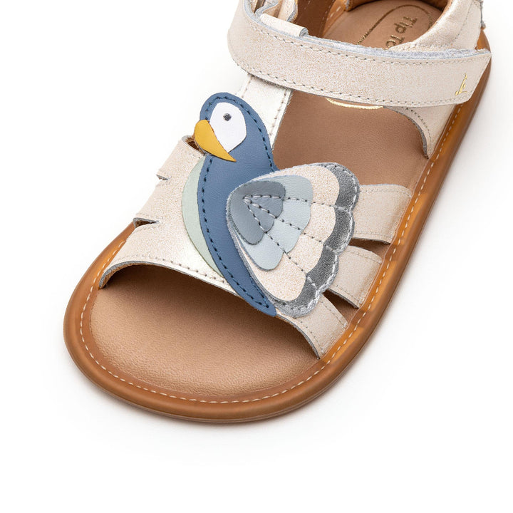 Macaw Sandals